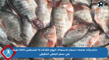 «تحديثات هامة» أسعار الأسماك اليوم الثلاثاء 12 أغسطس 2025 تعرف على سعر البلطي الحقيقي